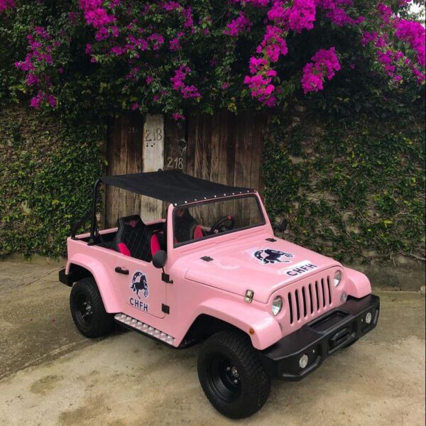 WhatsApp Image 2022-09-22 at 16.01.19